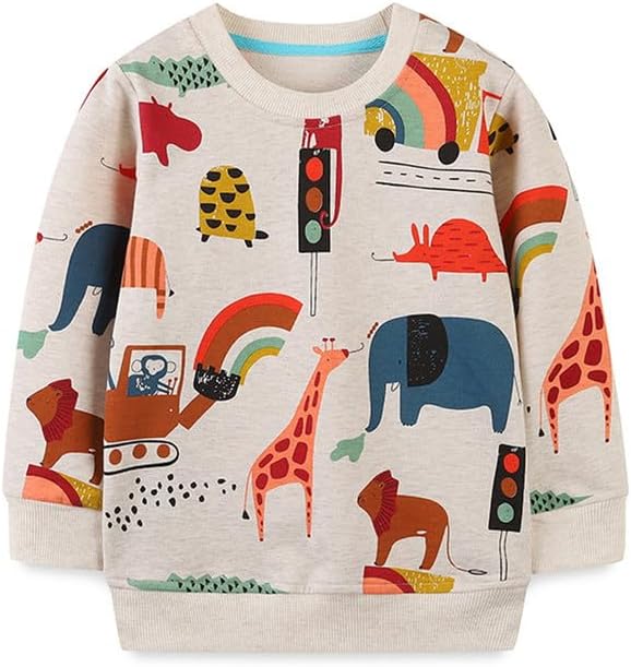 20% OFF Little Bitty Toddler Boy Sweatshirt Cotton Crewneck Pullover 2-8 Years