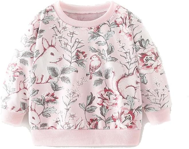 20% OFF Little Bitty Girl Sweatshirts Cotton Long Sleeve Tops for Toddler 2-7 Years