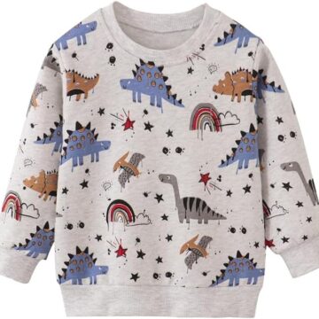 20% OFF Jobakids Boy Sweatshirt Pullover Long Sleeve  Top 2-7T